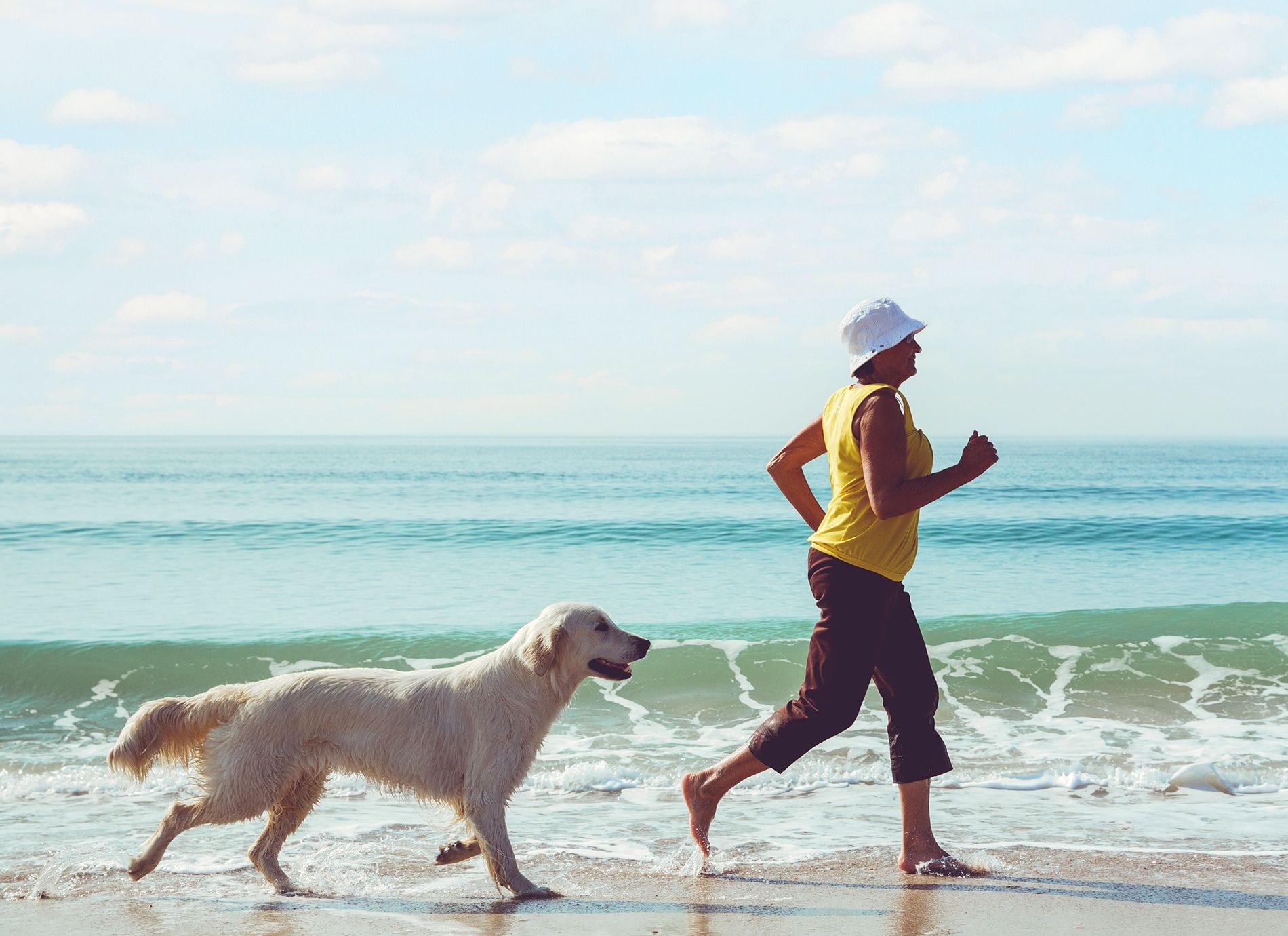 Hund rennt am Strand